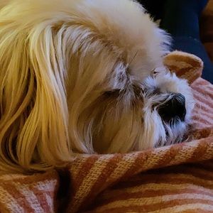 Meet your Posher, Irene